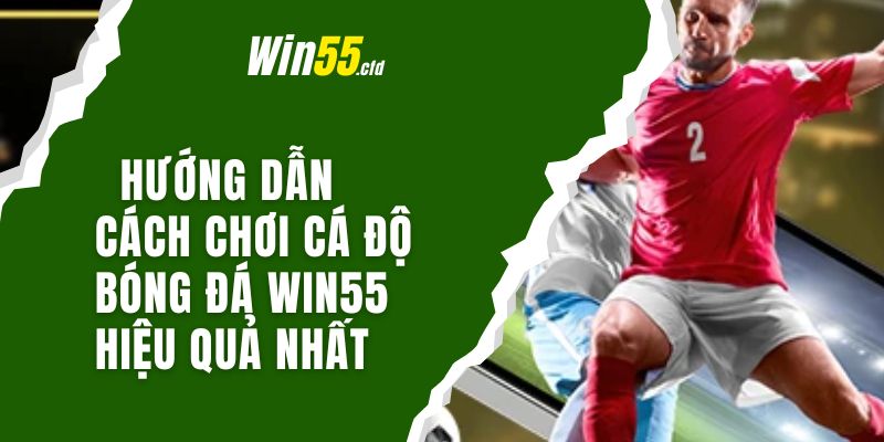 Cá Độ Bóng Đá Win55 Có Gì Hấp Dẫn? Khám Phá Ngay